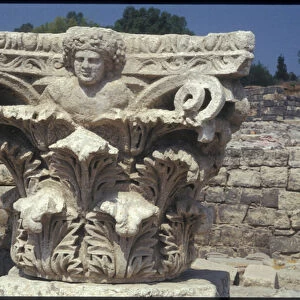 Architectural detail excavated in the Roman city (stone)
