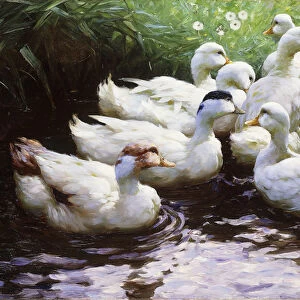Ashore (Ducks), (oil on canvas)