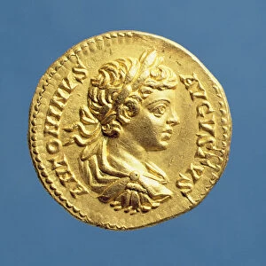 Aureus (obverse) with head of Carcalla (196-217) grapes, cuirassed