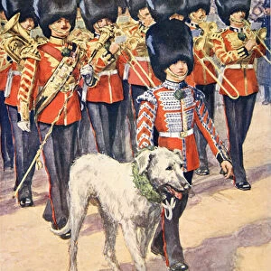 The Band and Mascot of the Irish Guards wearing the Shamrock on St. Patricks Day (colour litho)