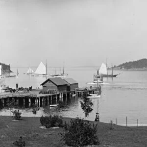 Bar Harbor, Mt. Desert Island, Maine, the harbour from Newport House, c. 1901 (b / w photo)