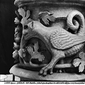 Basilisk, capital from Cathedral of Notre Dame at Reims (plaster cast from stone