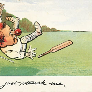 Batsman struck by a cricket ball (chromolitho)