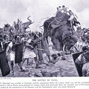 The Battle of Zama 203BC