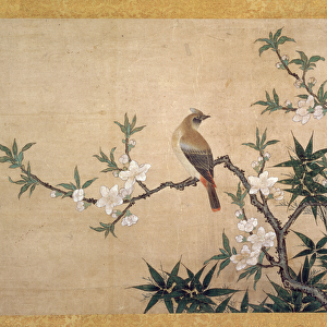 Bird on peach blossom, c. 1550-60 (watercolour on paper)