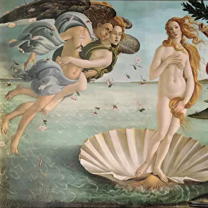 Sandro Botticelli Collection: The Birth of Venus