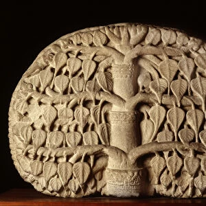 Bodhi Tree (stone)