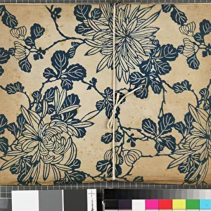 Book cover of Scenes from the war between Japan and Korea, end of 18th-first half of 19th century (printed textile binding)