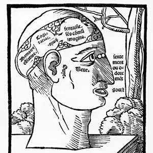 The Brain and Human Faculties, from Anatomia Mundini, French edition