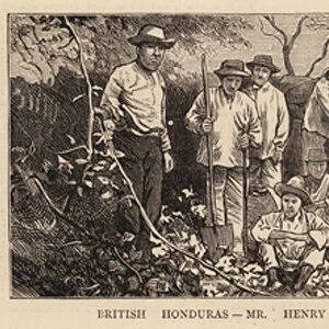 British Honduras, Mr Henry Fowler, Colonial Secretary, and his Exploring Party (engraving)