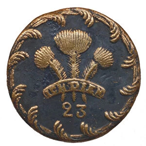 British Officers button of the 23rd Regiment of Foot