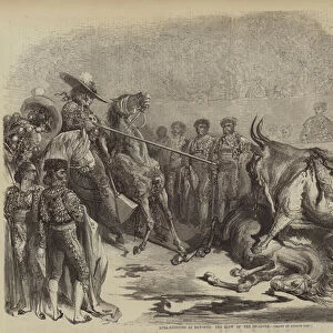 Bull-Fighting at Bayonne, the Blow of the Picadore (engraving)