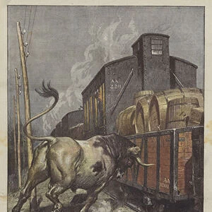 A bull that throws itself against a freight train and diverts it, at the Belmonte Calabro station (colour litho)