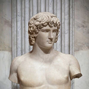 Bust of Antinous (marble)