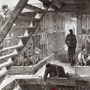 Caged prisoners on route to Botany Bay (litho)