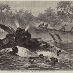 Canoe destroyed by a Hippopotamus on the River Zambesi, South Africa (engraving)