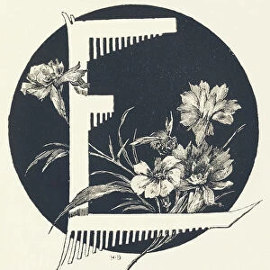 Capital letter E decorated with floral motifs and an insect. 1880 (engraving)