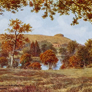 Chanctonbury Ring, from Wiston Pond, South Downs (colour litho)