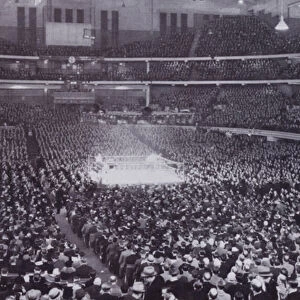 Chicago: Interior of Chicago Stadium during a Boxing Exhibition (b / w photo)