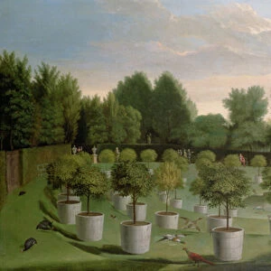 Chiswick House Gardens (oil on canvas)