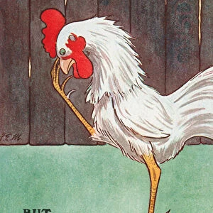 Cockerel pondering the reason for an increase in the price of eggs (colour litho)