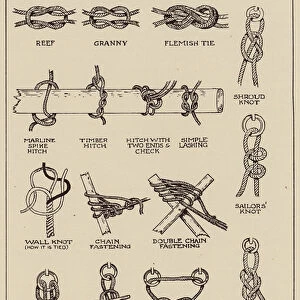 Collection of knots (litho)
