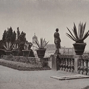 The Colonna Gardens, Rome, Upper Terrace, Overlooking Rome (b / w photo)