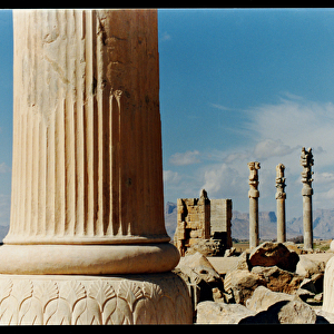 Columns from the eastern portico of the Apadana, c. 500-480 BC (photo)