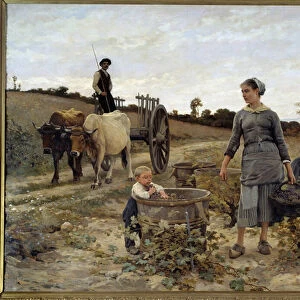 Corner of vine in Languedoc Painting by Edouard Debat Ponsan (1847-1913) 1886 Sun