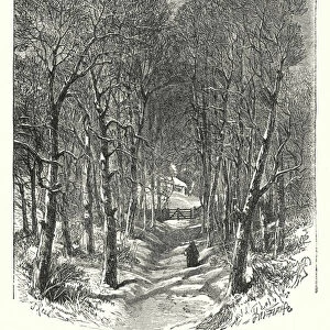 Cottage in the wood (engraving)