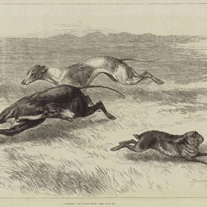 Coursing, the First Turn (engraving)
