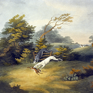 Coursing, plate 4, engraved by R. G. Reeve, 1807 (colour litho)
