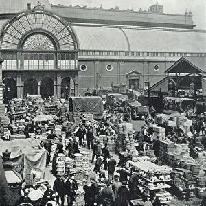 Covent Garden Market, a Morning Scene in the Market (b / w photo)