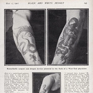 Craze for tattooing in Edwardian Britain (b / w photo)