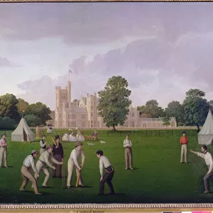 Cricket at Canford Manor, 1855 (oil on canvas)