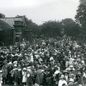 Crowds of visitors at London Zoo, August bank holiday, 1922 (b / w photo)