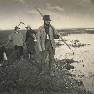Cutting the Gladdon, Life and Landscape on the Norfolk Broads, c. 1886 (photo)