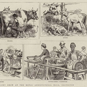 The Dairy Show at the Royal Agricultural Hall, Islington (engraving)