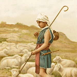 David tending his sheep