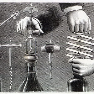 Different types of corkscrew, 1893 (litho)