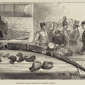 Discovery of Fossil Remains at Leghorn, Tuscany (engraving)