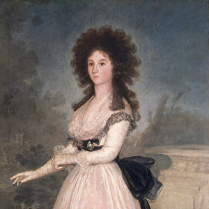 Dona Tadea Arias de Enriquez, 1793-94 (oil on canvas)