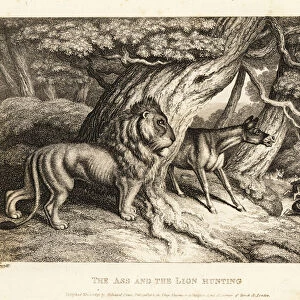 A donkey brays loudly at prey while hunting with a lion. 1811 (etching)