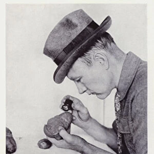 Dr Roy Chapman Andrews examining fossilized eggs discovered in the Gobi Desert (b / w photo)