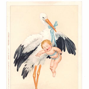Edwardian postcard of a stork holding a crying baby boy in its beak, c