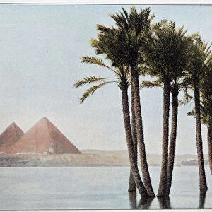 Egypt: the flood Nile and the pyramids of Gyza (Guizeh, Guiseh, Giza)