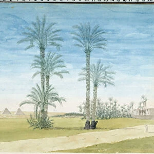 Egypt: "Pyramids of Gyze (Guizeh, Guiseh, Giza) Drawing by Pascal Coste (1787-1879) Museum of Mediterranean Archeology, Marseille