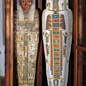 Egyptian sarcophagus covered with hieroglyphics (painted wood)