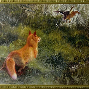 Eluding the Fox, 1912