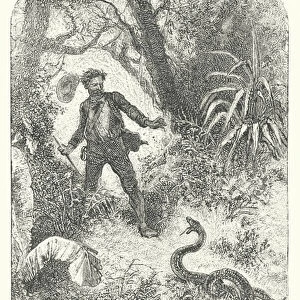 Encounter with a Rattlesnake (engraving)